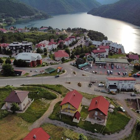 Apartman Ognjenovic Apartment Pluzine Bagian luar foto