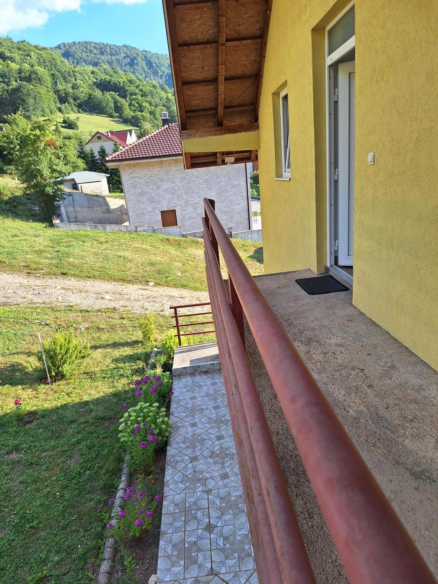 Apartman Ognjenovic Apartment Pluzine Bagian luar foto