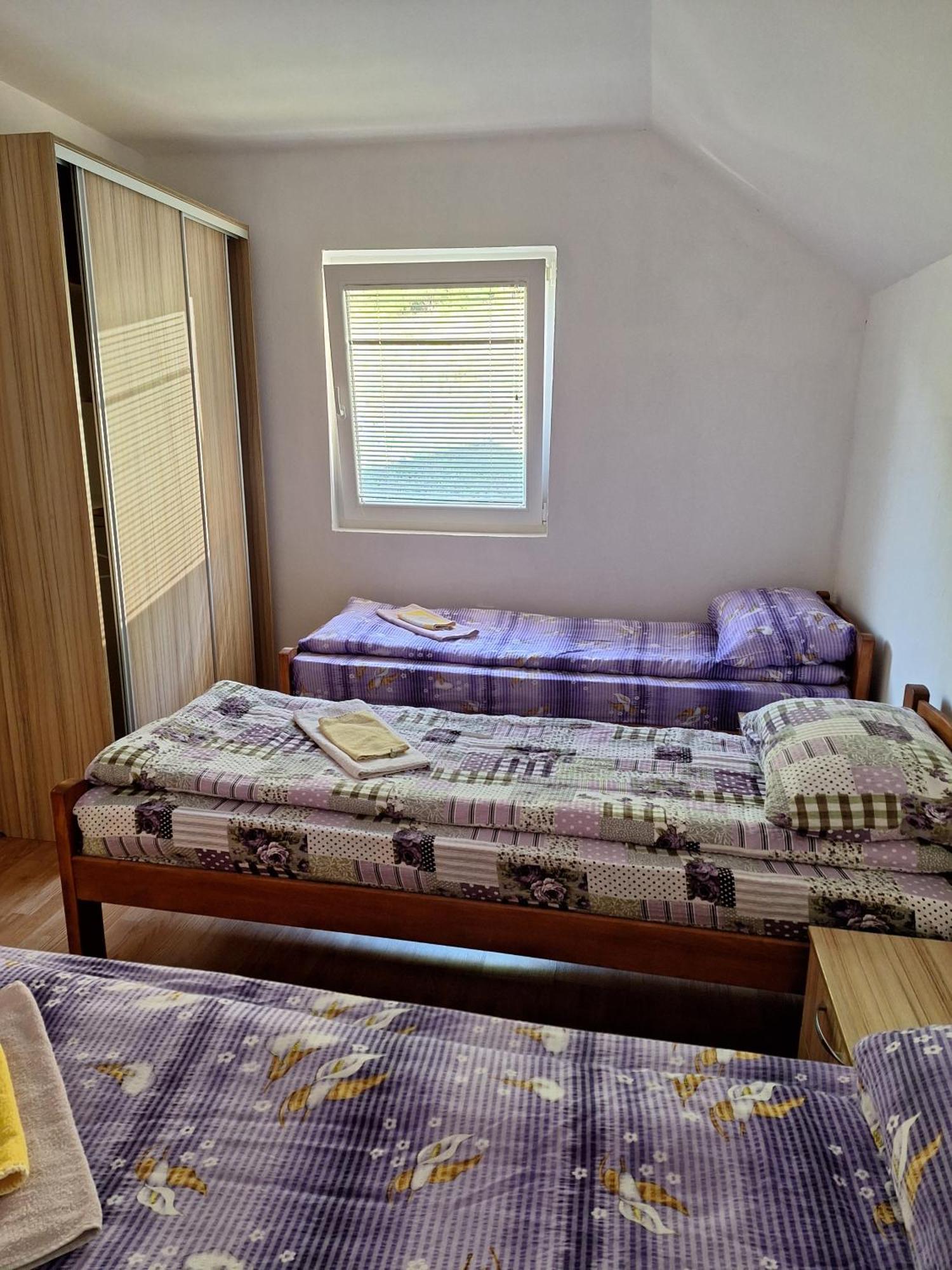 Apartman Ognjenovic Apartment Pluzine Bagian luar foto