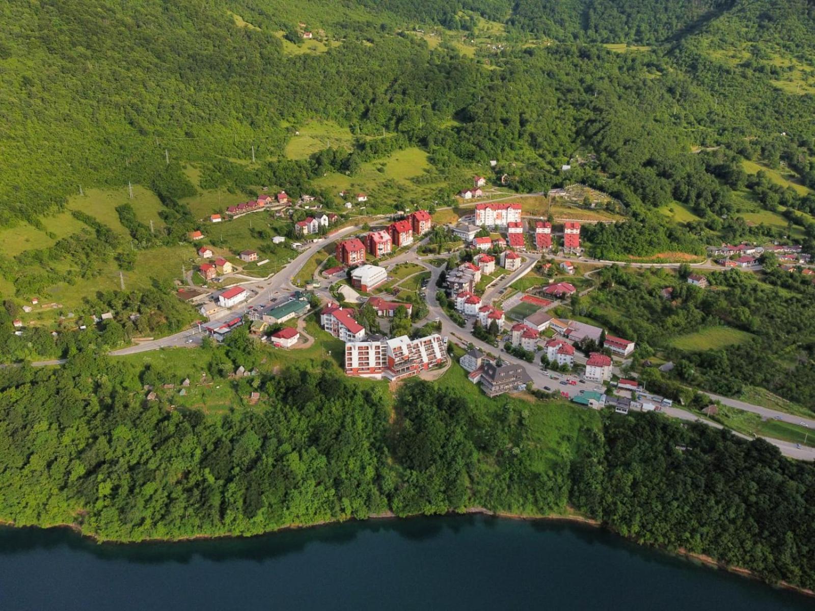 Apartman Ognjenovic Apartment Pluzine Bagian luar foto