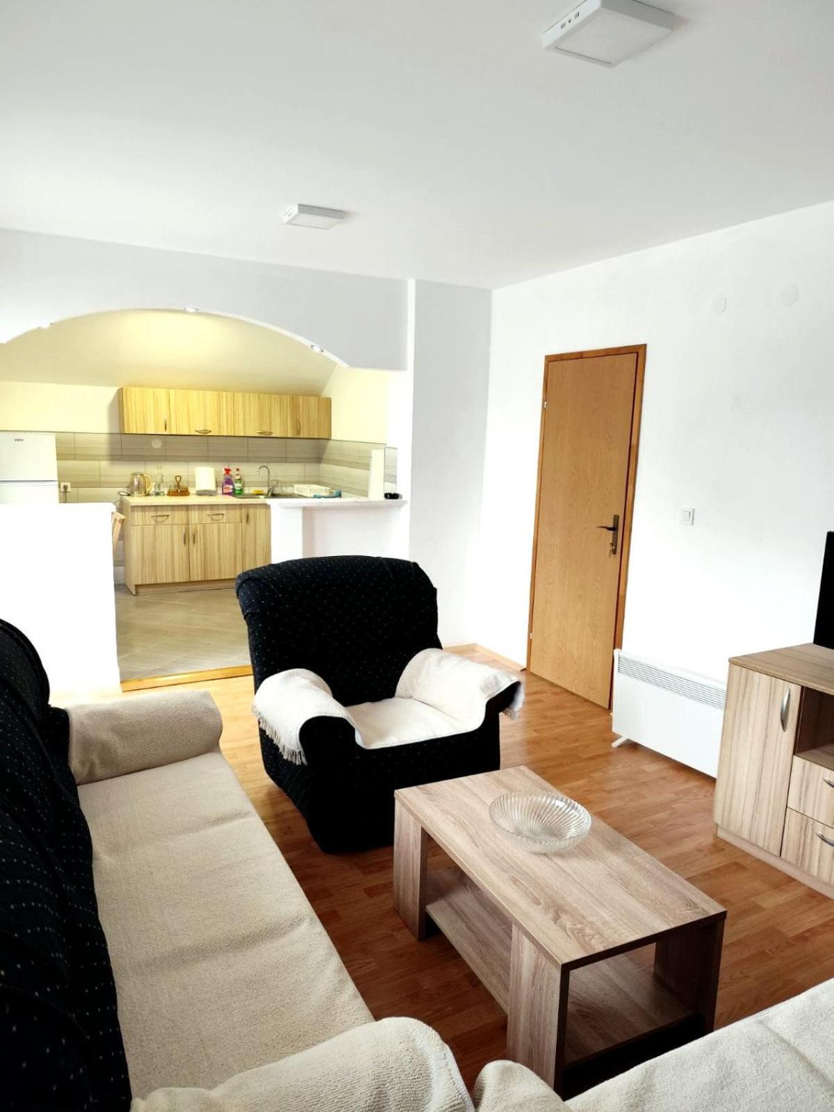 Apartman Ognjenovic Apartment Pluzine Bagian luar foto