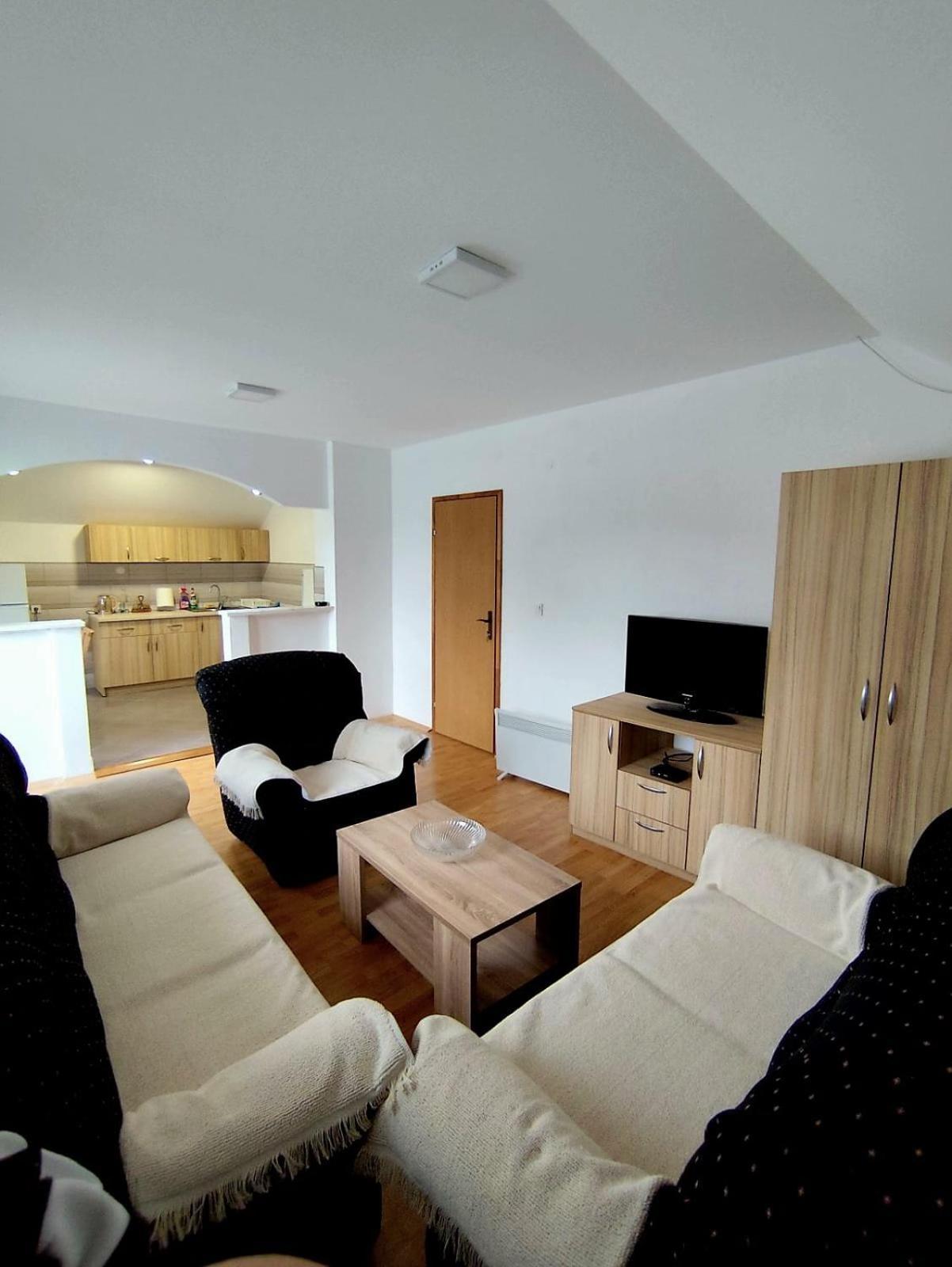Apartman Ognjenovic Apartment Pluzine Bagian luar foto